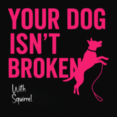Your Dog Isn't Broken
