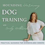 Hounding Harmony Dog Training