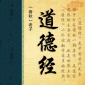 【国学经典】大麦简读《道德经》老子|本经译文|哲学