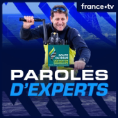 Paroles d'experts