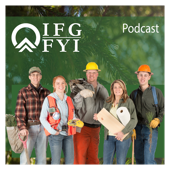 IFG  |   FYI
