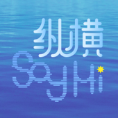 纵横 Say Hi