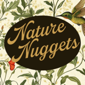 Nature Nuggets