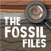 The Fossil Files