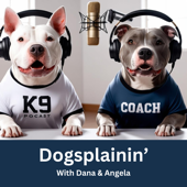 Dogsplainin