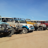 Classic Land Cruisers