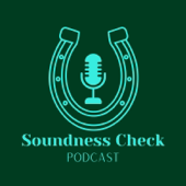 The Soundness Check