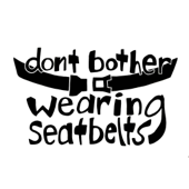 Don't Bother Wearing Seatbelts (An Elephant 6 Recording Company Podcast)