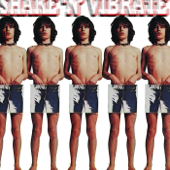Shake 'n' Vibrate Radio with DJ B The T Jr.