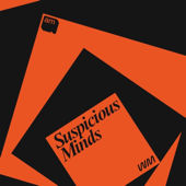 Suspicious Minds: AI and Psychosis