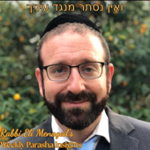 ואין נסתר מנגד עיניך ✡️ Weekly Insights on the Parasha by Rabbi Eli Menaged