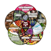 Horticulture Innovators