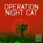 Operation Night Cat