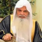 Ali Al-Hudhaifi - علي الحذيفي