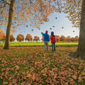 Bird Watching in the Southeast