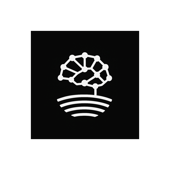 The Intelligence Horizon