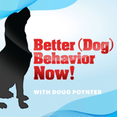 Best Of Better (Dog) Behavior Now!