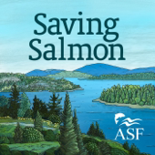 Saving Salmon