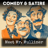 Meet Mr. Mulliner