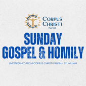 Sunday Homily