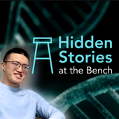 Hidden Stories at the Bench