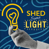 Shed Some Light: Actionable Tools and Strategies for Leaders to Thrive in the Modern World of Work