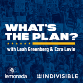 What's The Plan? with Leah Greenberg and Ezra Levin