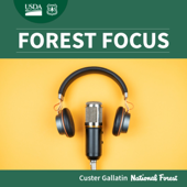 Forest Focus Custer Gallatin National Forest