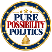 Pure Possibility Politics