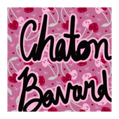 Chaton Bavard