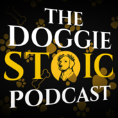Doggie Stoic