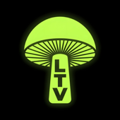 Lichen The Vibe