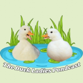 The Duck Ladies Pondcast