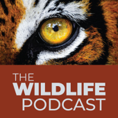 The Wildlife Podcast with Laurel Neme and Jeffrey Barbee