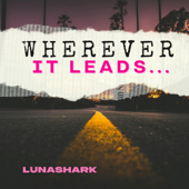 Wherever It Leads...