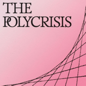 The Polycrisis