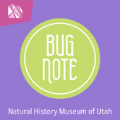 Bug Note