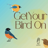 Get Your Bird On