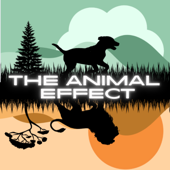 The Animal Effect