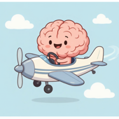 Plane Brain: The Pilot License Study Guide