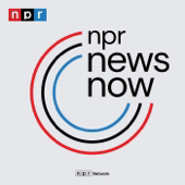 NPR News Now
