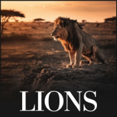 Lions