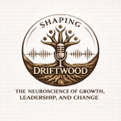 Shaping Driftwood: Neuroscience-Based Leadership, Growth & Change