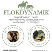 Flokdynamik