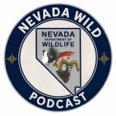 Nevada Wild Podcast