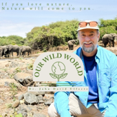Our Wild World