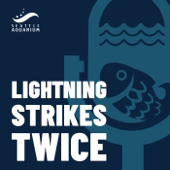 Lightning Strikes Twice