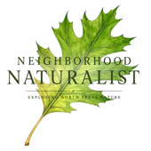 The Neighborhood Naturalist Podcast