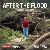 After the Flood