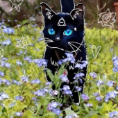 ✨🐈‍⬛Therian Podcast mit Calypos🐈‍⬛✨